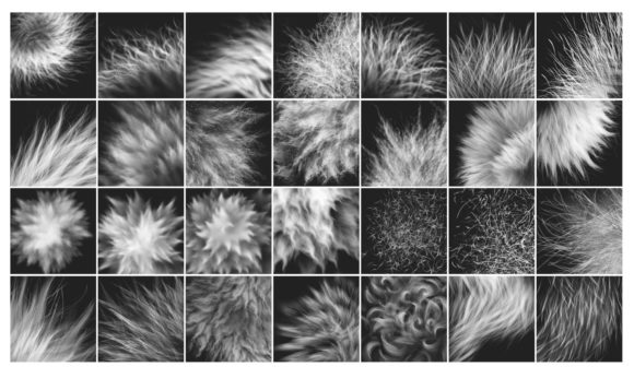 28+ Realistic FUR Brushes for PHOTOSHOP - Image 4